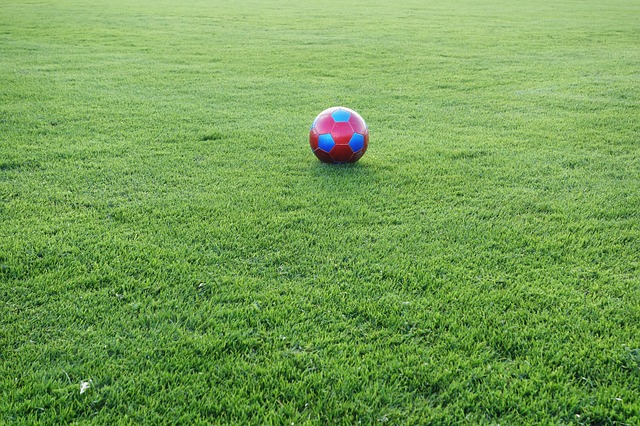 ball on grass